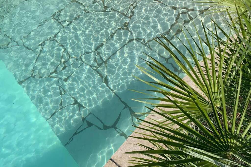 Villa Des Oliviers Avec Piscine Chassagny Eksteriør billede