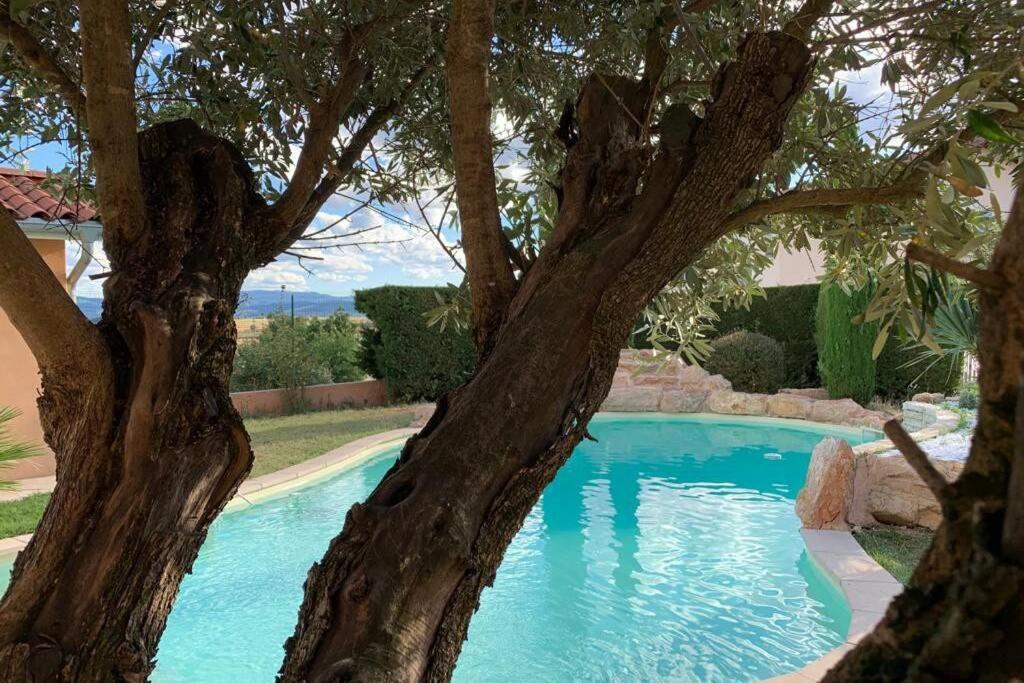 Villa Des Oliviers Avec Piscine Chassagny Eksteriør billede